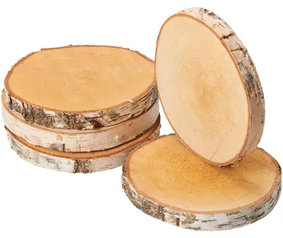 Image de Rondelles d'arbre 5 pcs. Bois de décoration Disques en bois 15 - 18 cm