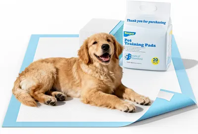 Produktbild von Hundetrainingspads, 60 x 60 cm, 20 Stück, saugfähig, antirutsch, für große Hunde