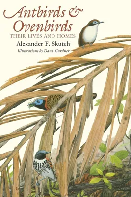 Produktbild von Antbirds and Ovenbirds