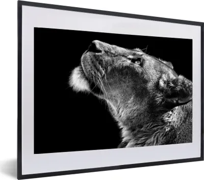 Produktbild von MuchoWow® Gerahmtes Poster Löwe - Tiere - Schwarz und weiß 60x40 cm - Poster mit Schwarzem Bilderrahmen Wandposter Rahmen Foto Bilder - Schlafzimmer - Plakat in Rahmen - Drucken