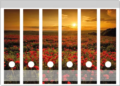 Produktbild von Wallario Ordnerrücken Sticker, selbstklebend für breite Ordner, 6 Stück, Motiv Mohnblumenwiese bei Sonnenuntergang am Abend