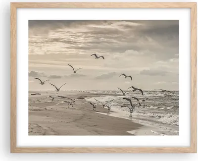 Produktbild von Gerahmtes Poster - Rahmen in heller Eiche - Möwen Küste Boho - 50x40 cm - Wand Bild - Wanddeko - Wandbilder - Kunstposter - Wandposter - Bilderrahmen - Bilder - Kunstdruck - P2NAA50x40-4723
