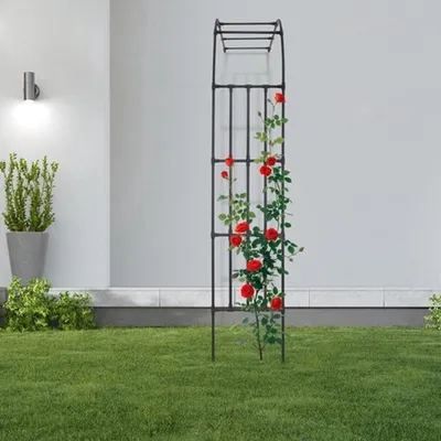 Image de Support pour plantes grimpantes en forme d'arc, idéal pour les jardins, avec une structure en acier et un design moderne