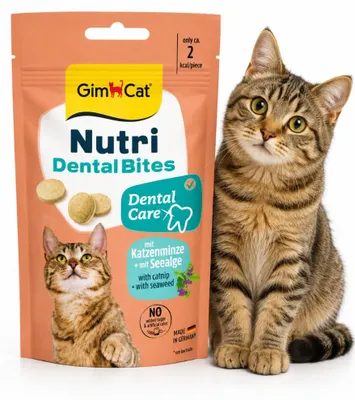 Productafbeelding van GIMCAT Nutri Dental Snacks - Voor katten - 40g