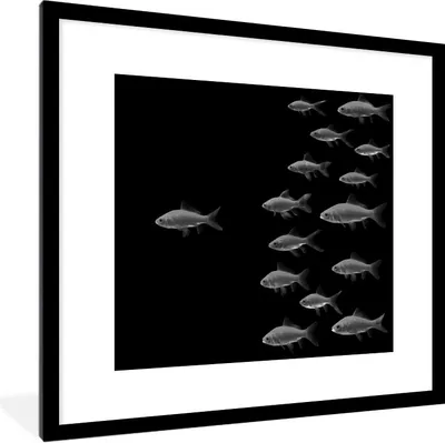 Produktbild von MuchoWow® Gerahmtes Poster Goldfisch auf einem schwarzen Hintergrund - schwarz und weiß 40x40 cm - Poster mit Schwarzem Bilderrahmen Wandposter Rahmen Foto Bilder - Poster - Plakat im Rahmen