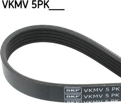 Zdjęcie produktu dla Pasek Wielorowkowy 5Pk1121