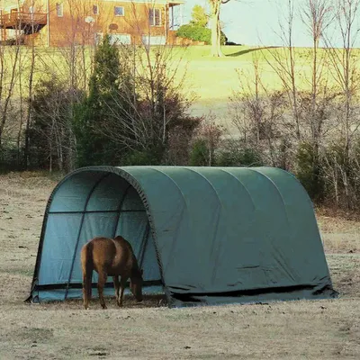 Productafbeelding van Shelter Logic Weidezelt, open schuur, 24,4 m², groen, 610 x 400 x 300 cm (L x B x H)