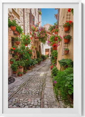 Produktbild von Blumenstraße in Italien– Wandbild mit Rahmen – Gerahmtes Bild  – Wanddekoration – 70x100 cm –  Weiß Rahmen