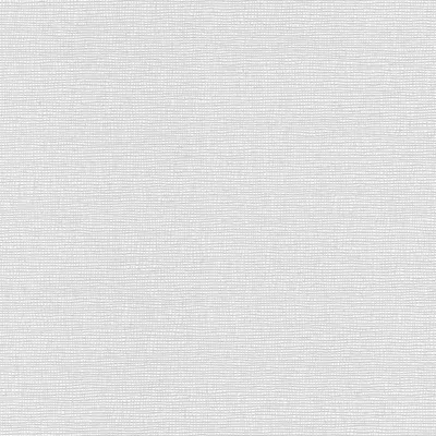Produktbild von A.S. Création Vliestapete Meistervlies Pro Protect 2, weiss, überstreichbar, 10,05 m x 0,53 m, 246011, 2460-11