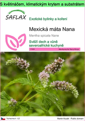Obrázek produktu pro SAFLAX Garden to go - Mexická máta Nana - Mentha spicata Nane - 500 Semena - S květináčem, klimatickou poklicí a pěstebním substrátem