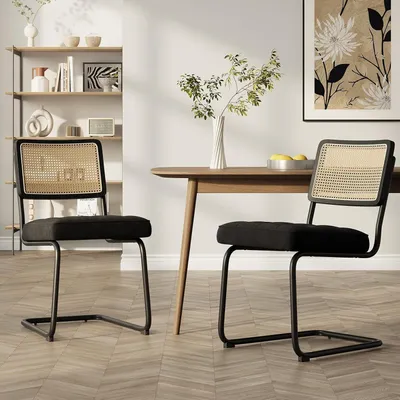 Immagine prodotto di Sedie da pranzo in rattan, set da 2, rivestimento in velluto con struttura in metallo, colore nero