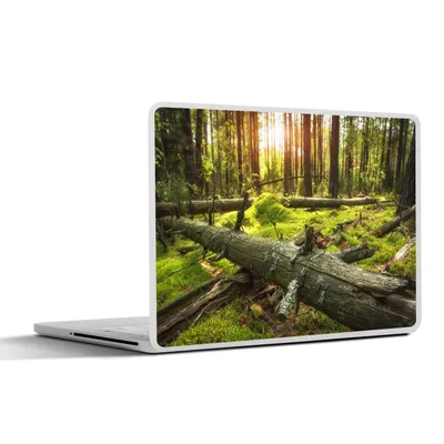 Produktbild von MuchoWow® Laptop Aufkleber Sticker Cover Baum - Wald - Moos 30x22 cm - Laptop-Sticker