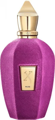 Obrázek produktu pro Xerjoff Muse parfémovaná voda unisex 50 ml