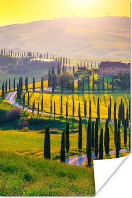 Produktbild von MuchoWow® Poster Gras - Sonne - Hügel - Landschaft 80x120 cm - Papierdruck