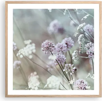 Produktbild von Gerahmtes Poster - Rahmen in heller Eiche - Wiese Knoblauch Blume - 60x60 cm - Wand Bild - Wanddeko - Wandbilder - Wandposter - Bilderrahmen - Bilder - Kunstdruck - Wandbild - P2NAC60x60-4177