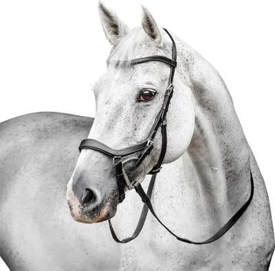 Produktbild von Horseware Micklem Competition English Trense Schwarz Full Schwarz Full