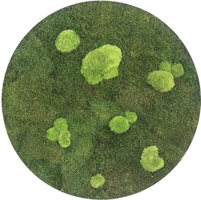 Produktbild von Moosbild Wald & Kugelmoos Ellipsoid Ø 54 cm