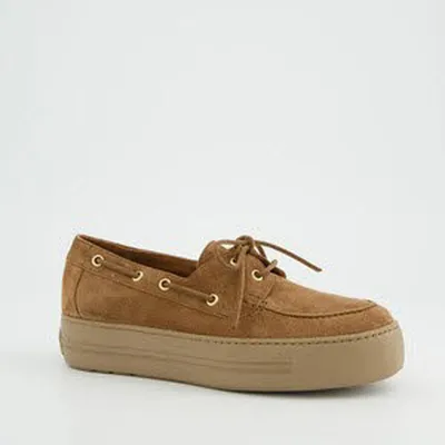 Immagine prodotto di Scarpe da ginnastica da donna Paul Green, modelli 46923-4, 46923-5, 46923-5.5, 46923-6, 46923-6.5, 46923-7, 46923-7.5, 53768-3.5, 53768-4, 53768-4.5, 53768-5, 53768-5.5, 53768-6, 53768-6.5, 53768-7, 53768-7.5, colore marrone/marrone, taglia 3.5