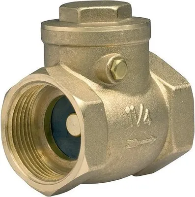 Image de clapet anti-retour 5/4 pouce avec clapet, PN16