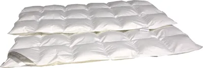 Produktbild von 2 Stück Betten Hofmann Bellalux Daunendecken Daunenbetten Kassettenbett 6x8 155x220 cm, 100% Daunen
