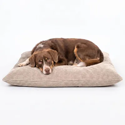 Produktbild von 4L Textil MOLLY Hundekissen aus Cord, wendbares Hundebett, abnehmbarer waschbarer Bezug, für große Hunde, 120x100 cm, Beige
