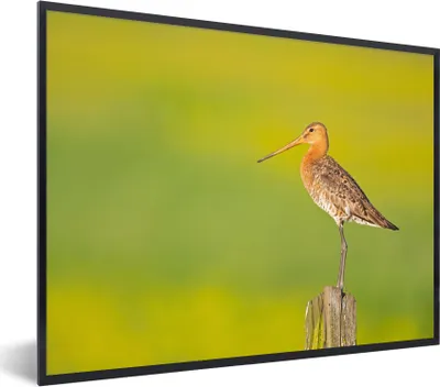 Produktbild von MuchoWow® Gerahmtes Poster Vogel - Tiere - Uferschnepfe - Pfahl - Grün 80x60 cm - Poster mit Schwarzem Bilderrahmen Wandposter Rahmen Foto Bilder - Schwarzem - Mit Gestell