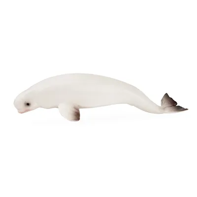 Produktbild von Toymany ML00366 Belugawal Weißwal 12 cm Wasserwelt