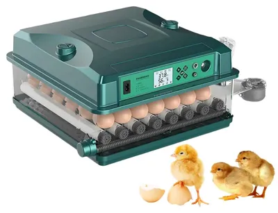 Zdjęcie produktu dla Inkubator na 36 jaj – w pełni automatyczny inkubator – 5 trybów wylęgu – automatyczne obracanie – regulacja temperatury – 220 V/12 V – 50 W – do kurcząt i kaczek