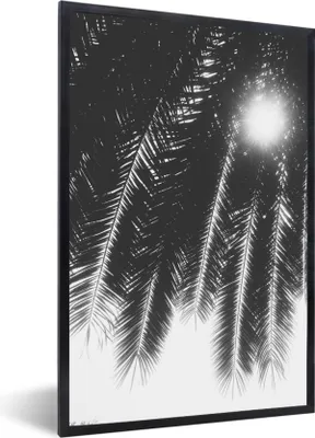 Produktbild von MuchoWow® Gerahmtes Poster Palmenblätter - Tropisch - Sonne - Palme 40x60 cm - Poster mit Schwarzem Bilderrahmen Wandposter Rahmen Foto Bilder - Papierdruck - Wandbilder