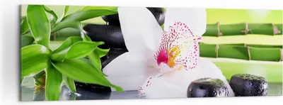 Produktbild von Bild auf Leinwand - Leinwandbild - blume orchidee - 160x50cm - Wand Bild - Wanddeko - Wandbilder - Leinwanddruck - Bilder - Kunstdruck - Wanddekoration - Leinwand bilder - Wandkunst - AB160x50-3659