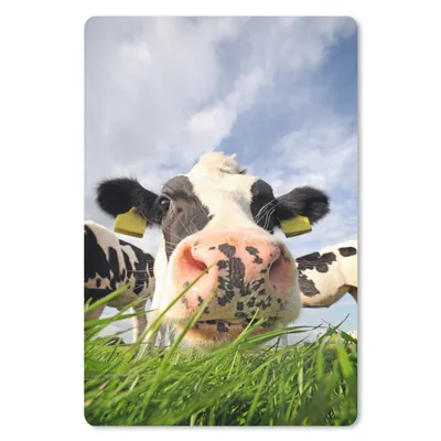 Produktbild von MuchoWow® Mauspad Mousepad Kühe - Gras - Wolken 18x27 cm - Mousepads - Maus Mat - Pad - Mausunterlage