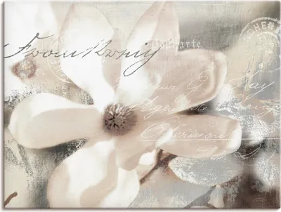 Produktbild von ARTland Leinwandbild Magnolie_Detail Größe: 40x30 cm
