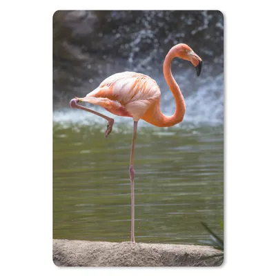 Produktbild von MuchoWow® Mauspad Mousepad Ein Flamingo steht im Wasser 18x27 cm - Mousepads - Maus Mat - Pad - Mausunterlage