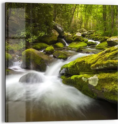 Produktbild von DEQORI Glasbild Echtglas 30x30 cm 'Sattgrüne Waldkulisse' Wandbild Bild modern Deko