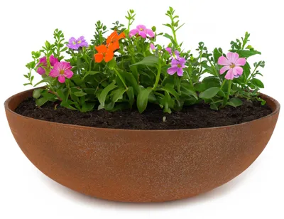 Produktbild von Pflanzschale für draußen Dekoschale rund Rost-Optik 45 x 13 cm