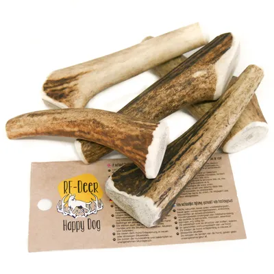 Immagine prodotto di RF-D Deer Antler XS 20-30g 6-9cm corno naturale duro, giocattolo da masticare ecologico per cani, giocattolo da masticare sano, ossa da masticare per il piacere e la cura dentale