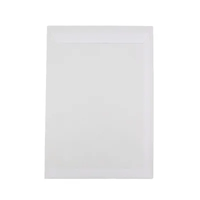 Image de Business Mail enveloppes plates C4 23x32cm HK blanc (250 pcs.)