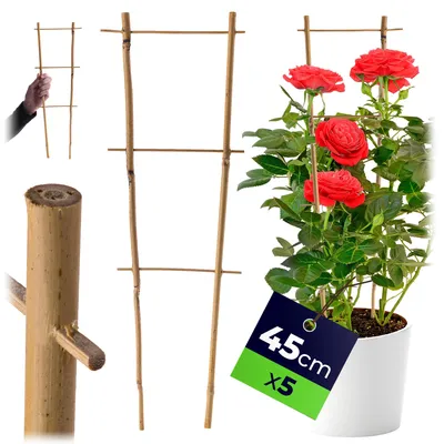 Zdjęcie produktu dla KADAX Pergola Podpora Drabinka Bambusowa 45 cm 5 szt