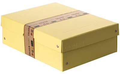 Immagine prodotto di Falken Box PURE Box Pastel 22001936 A4 100mm giallo