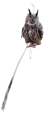 Produktbild von Reflektierende Eulenattrappe zur Vogelabwehr mit wetterfestem Design für Garten, Balkon und Obstgarten