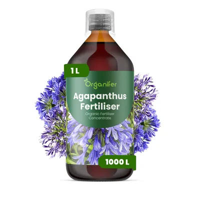 Produktbild von Agapanthus Flüssigdünger 1L – 2-1-8 NPK – Flüssigdünger Für Blühpflanzen – Für Üppige Blüten & Blätter – Organifer