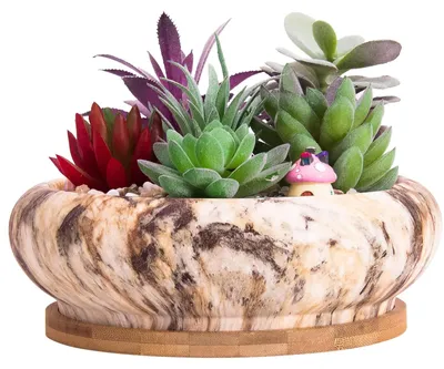 Zdjęcie produktu dla Duży doniczka do bonsai z otworem drenażowym i podstawką