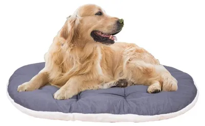 Produktbild von FERPLAST Hundebett Groß, waschbar, Hundekissen für Hundehütten und Auto, 100 x 63 cm, Beige