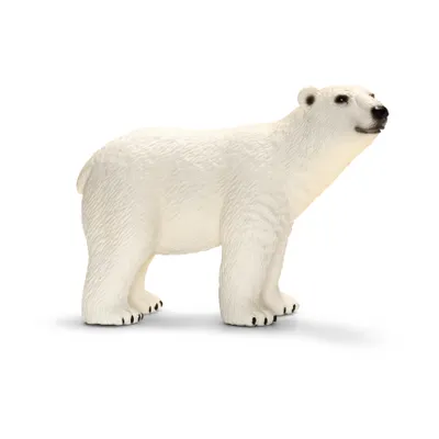 Produktbild von Schleich - Tierfiguren, Eisbär; 14659
