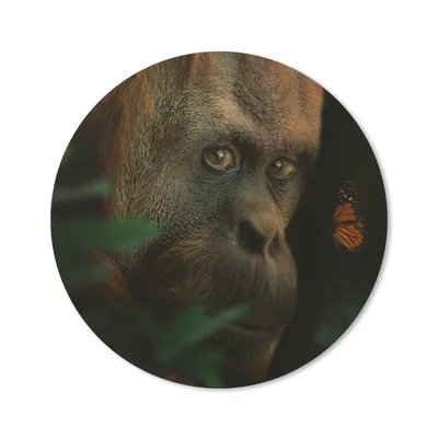 Produktbild von MuchoWow® Mauspad Mousepad Tiere - Affe - Natur 20x20 cm - Mousepads - Maus Mat - Pad - Mausunterlage - Schreibtischmatte