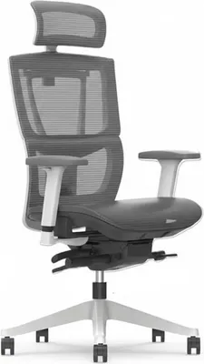 Obrázek produktu pro Ergonomická kancelářská židle C7WG Air, šedá