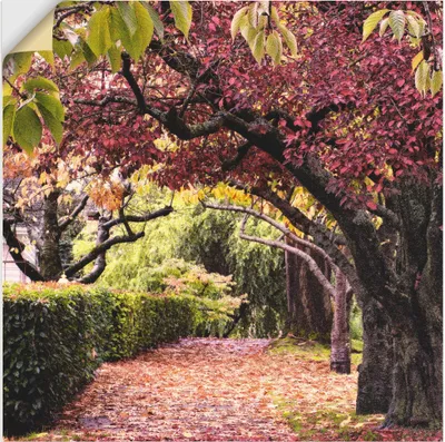 Produktbild von ARTland Wandbild, selbstklebend Baumbogen Größe: 70x70 cm