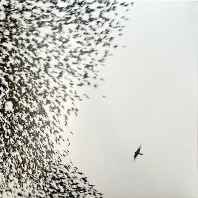 Produktbild von Wilco - Sky Blue Sky (2 LP)