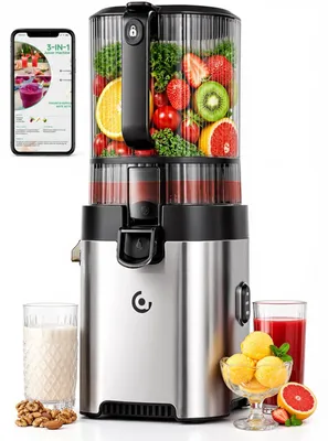 Slow Juicer 158 mm, 2 Filter, 300 W, 2,5 l, Edelstahl