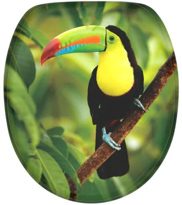 Obrázok produktu pre SANILO® Toucan WC sedátko s mäkkým zatváraním, WC sedátko, WC sedátko, WC sedátko, WC sedátko, WC sedátko priamo od výrobcu